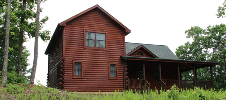 Professional Log Home Borate Application  Lenoir County,  North Carolina
